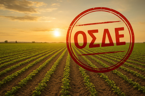 ΟΣΔΕ 2026: Σε ομηρία τα ΚΥΔ της Ηλείας - Μεγάλο το κόστος κάθε ημέρας καθυστέρησης