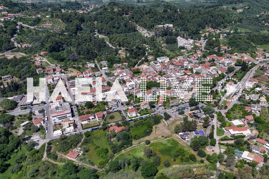 Αρ. Παναγιωτόπουλος: Οργανώνει πλαίσιο προτεραιοτήτων για τις παρεμβάσεις στον Δήμο Αρχ. Ολυμπίας