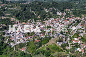 Αρ. Παναγιωτόπουλος: Οργανώνει πλαίσιο προτεραιοτήτων για τις παρεμβάσεις στον Δήμο Αρχ. Ολυμπίας
