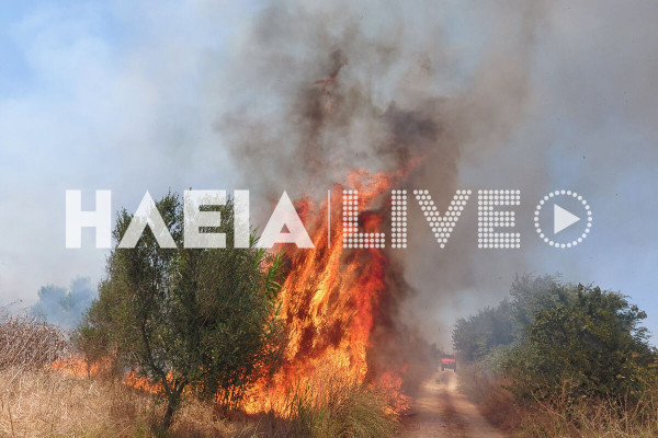 Λεχαινά: Πυρκαγιά σε χορτολιβαδική έκταση στη Δροσελή
