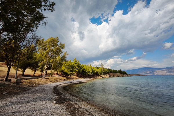 Αρναούτογλου: «Ξαφνικό, νέο σενάριο στη Μεσόγειο» - Τι δείχνουν τα στοιχεία για την Ελλάδα