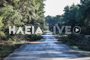 Δάσος Στροφυλλιάς: Αποκτά «έξυπνο» ολοκληρωμένο σύστημα πρόληψης δασικών πυρκαγιών