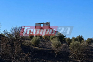 Σε εξέλιξη η πυρκαγιά στις Νεραντζιές στο Αίγιο: Κάηκε σπίτι, ενισχύθηκαν οι δυνάμεις