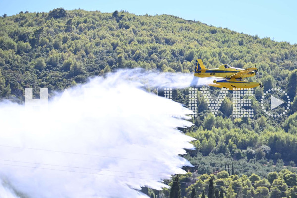 Ηλεία: Δύο πυρκαγιές σχεδόν ταυτόχρονα σε Κάτω Σαμικό και Αγρίδι