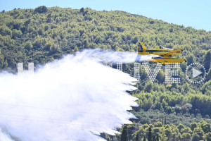Ηλεία: Δύο πυρκαγιές σχεδόν ταυτόχρονα σε Κάτω Σαμικό και Αγρίδι