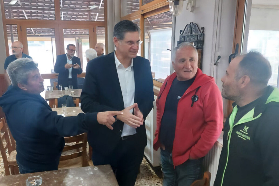 Καλαματιανός: «Στήριξη των κτηνοτρόφων της Ηλείας»