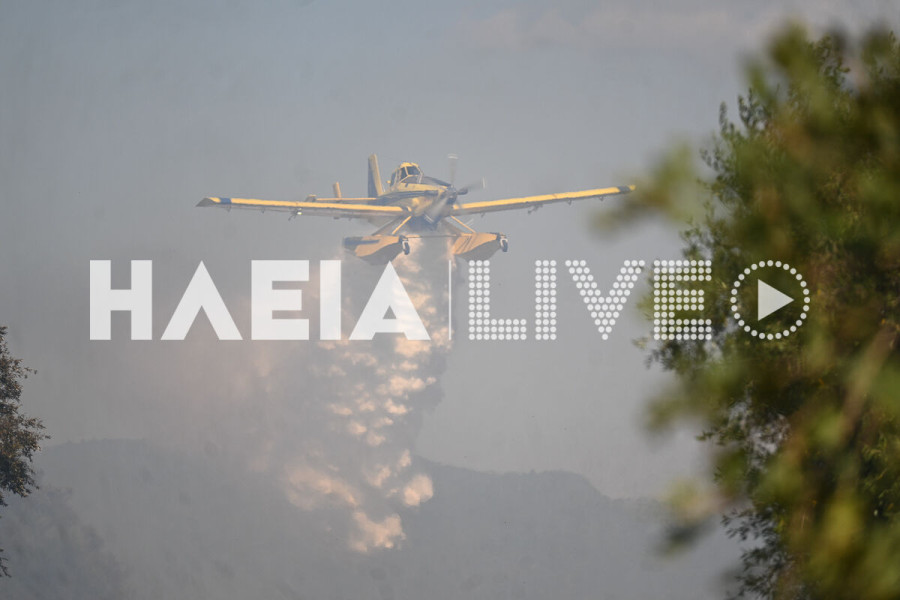 Ηλεία: Σε ύφεση και χωρις ενεργό μετωπο η πυρκαγιά στη Βάρδα