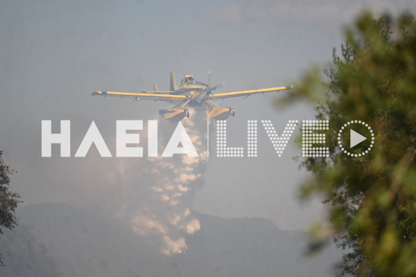 Ηλεία: Πυρκαγιά σε αγροτοδασική έκταση στη Βάρδα - Ισχυρές δυνάμεις στη μάχη με τις φλόγες