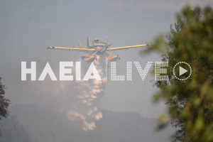 Ηλεία: Σε ύφεση και χωρις ενεργό μετωπο η πυρκαγιά στη Βάρδα