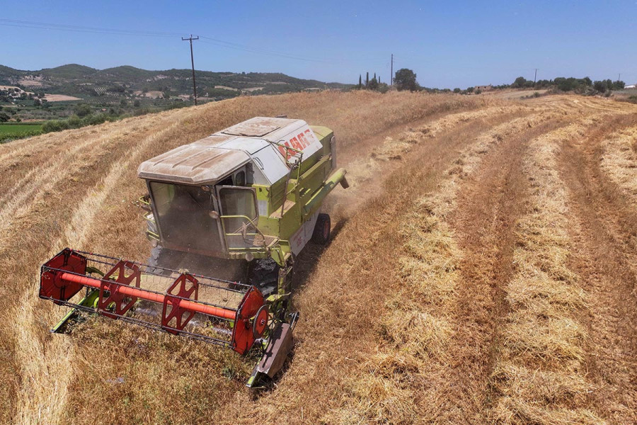 Δούλευε από τα 12 και στα 97 έκανε την τελευταία του σοδειά