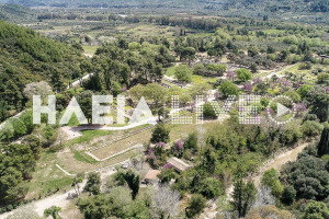 Δασαρχείο Πύργου: Ενισχύεται η αντιπυρική θωράκιση του Αρχαιολογικού χώρου Ολυμπίας
