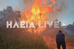 Ζαχάρω: Οριοθετήθηκε η πυρκαγιά στην Παλιόβρυση (photos &amp; video)