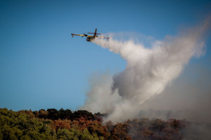 Φωτιά στην Οινόη: Μεγάλη μάχη με τις φλόγες - 29 εναέρια μέσα στο μέτωπο - Καλύτερη η εικόνα
