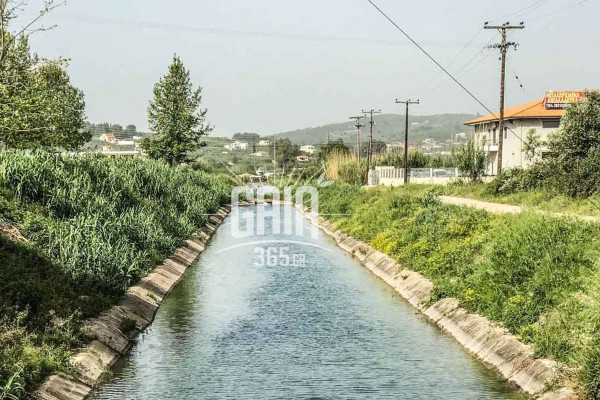 Ιστορικό ομόφωνο μπλόκο 68 αντιπροσώπων της Γ.Σ. αρδευτών ΤΟΕΒ Μυρτουντίων για ελαττωματικό έργο ΕΣΠΑ