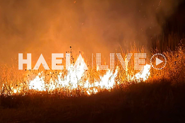 Κώμη Βάρδας: Νέα και μεγάλη νυχτερινή πυρκαγιά