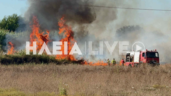Πύργος: Οριοθετήθηκε η φωτιά στην Πύργου - Κυπαρισσίας στα «Σίδερα Στασινόπουλου»