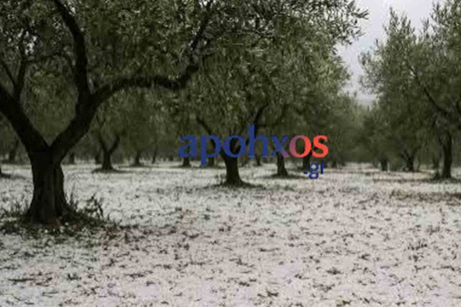 Το “στρώσε” με… χαλάζι σε χωριά του Δήμου Κορινθίων – Φόβοι για ζημιές σε καλλιέργειες (photos)