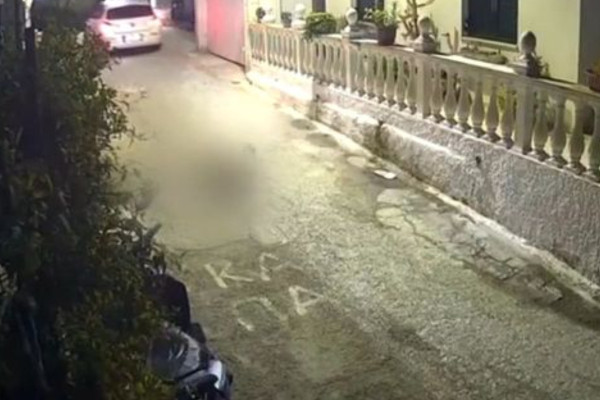 Φρίκη στην Κέρκυρα: Πέρασε με το αυτοκίνητο πάνω από σκύλο και τον άφησε να πεθάνει στον δρόμο