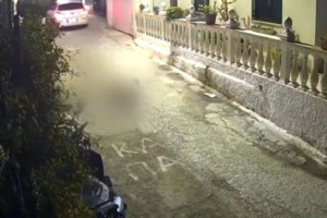Φρίκη στην Κέρκυρα: Πέρασε με το αυτοκίνητο πάνω από σκύλο και τον άφησε να πεθάνει στον δρόμο