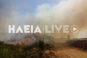 ΠΔΕ: Έκτακτη συνεδρίαση του Περιφερειακού Συμβουλίου Δυτικής Ελλάδας για τις καταστροφικές πυρκαγιές