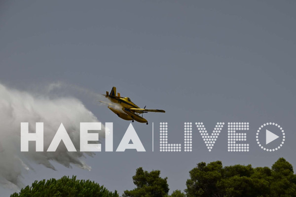 Ηλεία: Συναγερμός για πυρκαγιά σε αγροτοδασική έκταση στο Πλουτοχώρι - Μήνυμα από το 112
