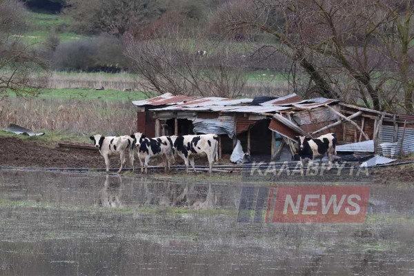 Βουραϊκός ποταμός: Πλημμύρες, βάλτοι και κατεστραμμένες καλλιέργειες (photos)