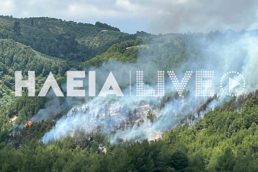 Πυρκαγιά στο Μετόχι Φιγαλείας - Άμεση κινητοποίηση της Πυροσβεστικής