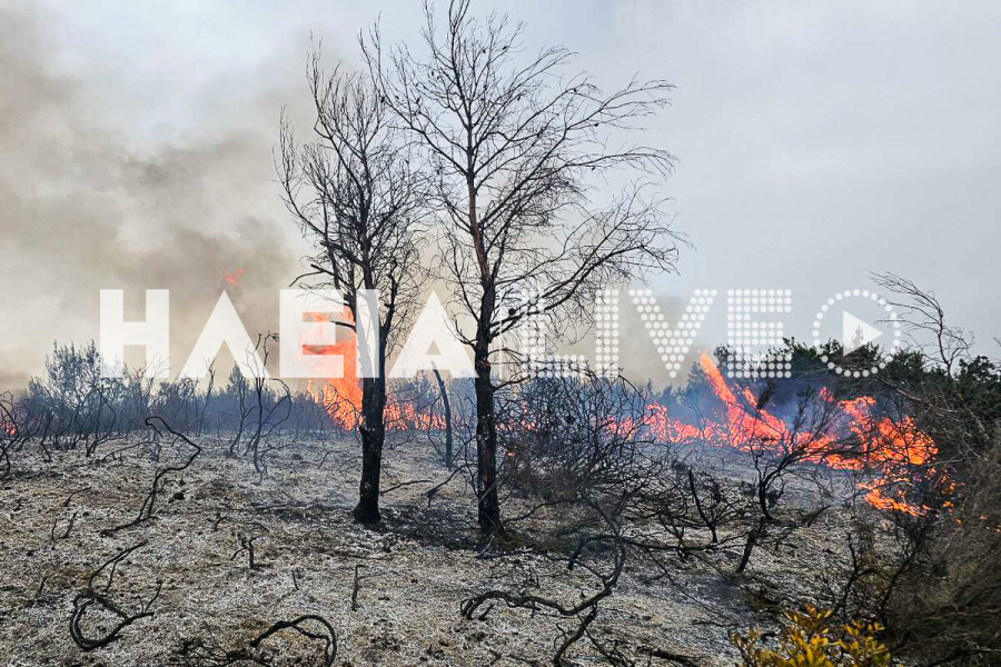 Βάλμη Πηνείας: Φωτιά έκαψε τρία στρέμματα δασικής έκτασης
