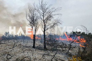 Βάλμη Πηνείας: Φωτιά έκαψε τρία στρέμματα δασικής έκτασης