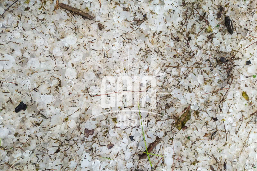 ΕΛΓΑ: Εγκρίθηκε ο προσωρινός ανάδοχος για τη Χαλαζική Προστασία - Επέκταση κατά 1.000.000 στρέμ. η κάλυψη