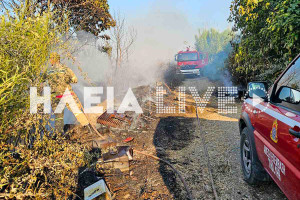 Γαστούνη: Αναστάτωση από πυρκαγιά σε αγροτική έκταση