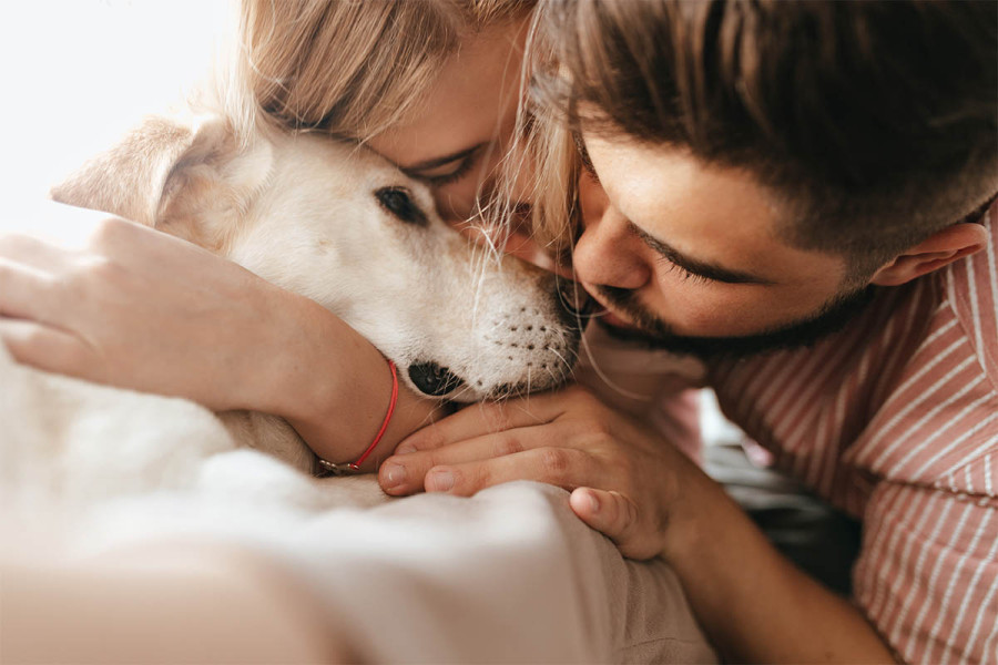 Πόσα χρόνια ζουν συνήθως οι σκύλοι - Γιατί δεν μπορούν να ζήσουν όσο και οι άνθρωποι