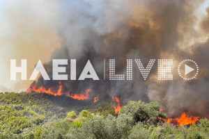 Ηλεία: Παραμένει υψηλός ο κίνδυνος πυρκαγιάς τη Δευτέρα