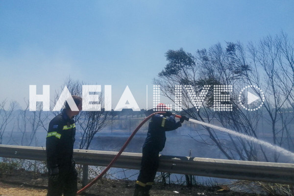 Σταφιδόκαμπος: Πυρκαγιά δίπλα σε εγκατάσταση φωτοβολταϊκών