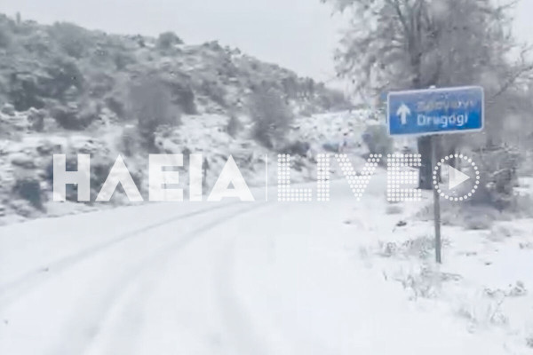 Ηλεία: Το "στρωσε" στον Επικούριο Απόλλωνα (video)
