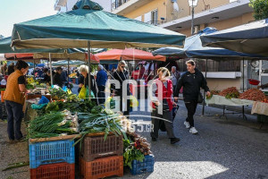 Πύργος: Η λαϊκή αγορά πηγαίνει στα Χαλικιάτικα