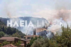 Νερατζιές Αιγίου: Μεγάλη πυρκαγιά σε αγροτοδασική έκταση κοντά στο χωριό