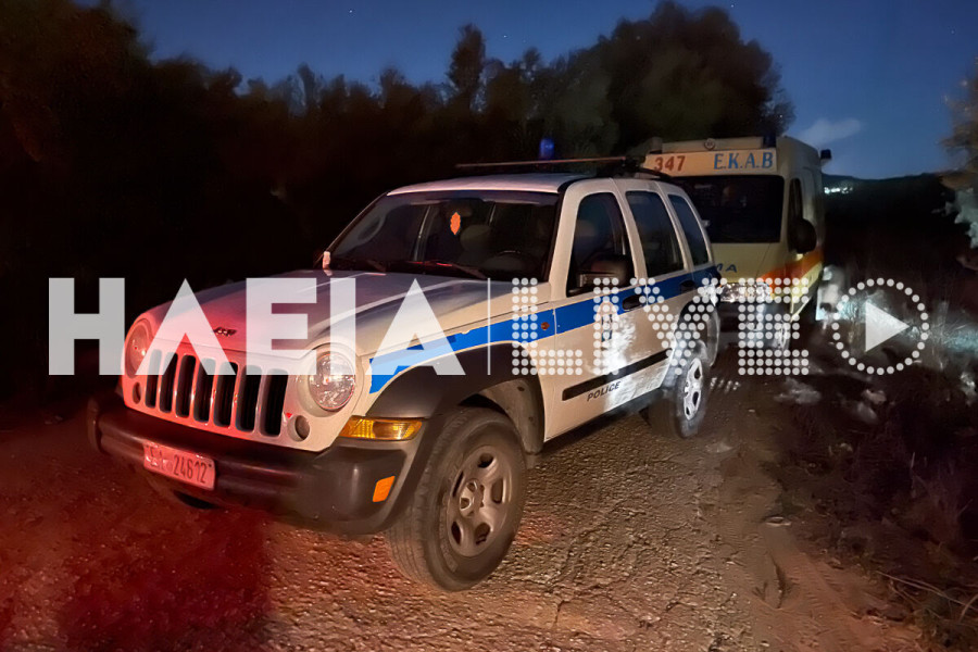 Μακρίσια: Τον βρήκαν εξαντλημένο πάνω στην ελιά - Ήταν δύο μέρες εκεί