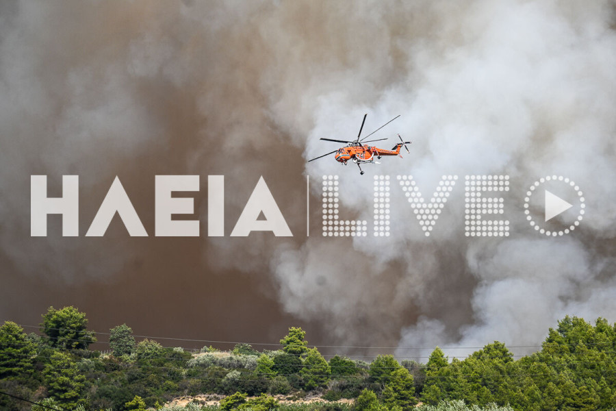 Χίος: Μάχη με τις φλόγες – Τραυματίες πυροσβέστες – Στο αυτόφωρο γεωργιανή που έβαλε φωτιά