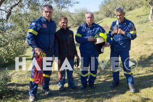 Γραίκα: Επιχείρηση διάσωσης για εγκλωβισμένα πρόβατα
