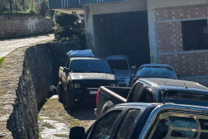 Οι συγγενείς είχαν κρύψει σε στάνη τη μοιραία γουρούνα που καταπλάκωσε τον 3χρονο στην Αχαΐα - Ομολόγησε ο 25χρονος θείος