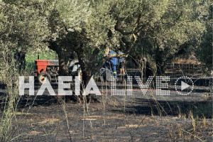 Σκουροχώρι: Φωτιά σε λιοστάσι έκαψε τρακτέρ