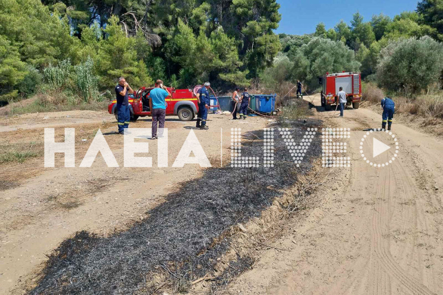 Αμπελώνας Πύργου: Πρόλαβαν τη φωτιά πριν μπει σε δάσος