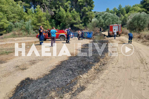 Αμπελώνας Πύργου: Πρόλαβαν τη φωτιά πριν μπει σε δάσος