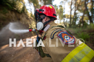 Άσκηση ετοιμότητας Πυροσβεστικής και φορέων σε σοβαρό σενάριο πυρκαγιάς σε Λαδικό - Μακρίσια (photos &amp; video)