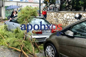 Πάτρα: Ισχυρή ανεμοθύελλα προκάλεσε πτώση δέντρων και ζημιές σε οχήματα (photos &amp; video)