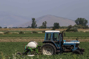Λιπάσματα: Σε τροχιά αστάθειας η βιομηχανία – Φόβοι για ελλείψεις τροφίμων