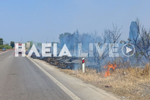 Αμαλιάδα: Πυρκαγιά παραπλεύρως της ΕΟ Πατρών - Πύργου