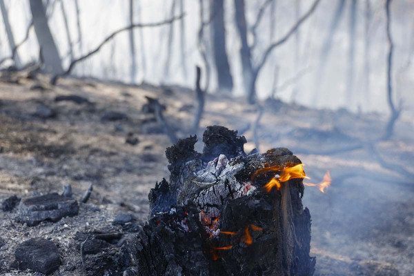 «Κόλαση» φωτιάς στην Ισπανία: Νεκροί 12 άνθρωποι στην Αλμερία - Απανθρακώθηκαν στα οχήματά τους