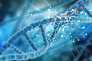 Μεγάλη έρευνα DNA αναθεωρεί την προέλευση του ανθρώπινου είδους
